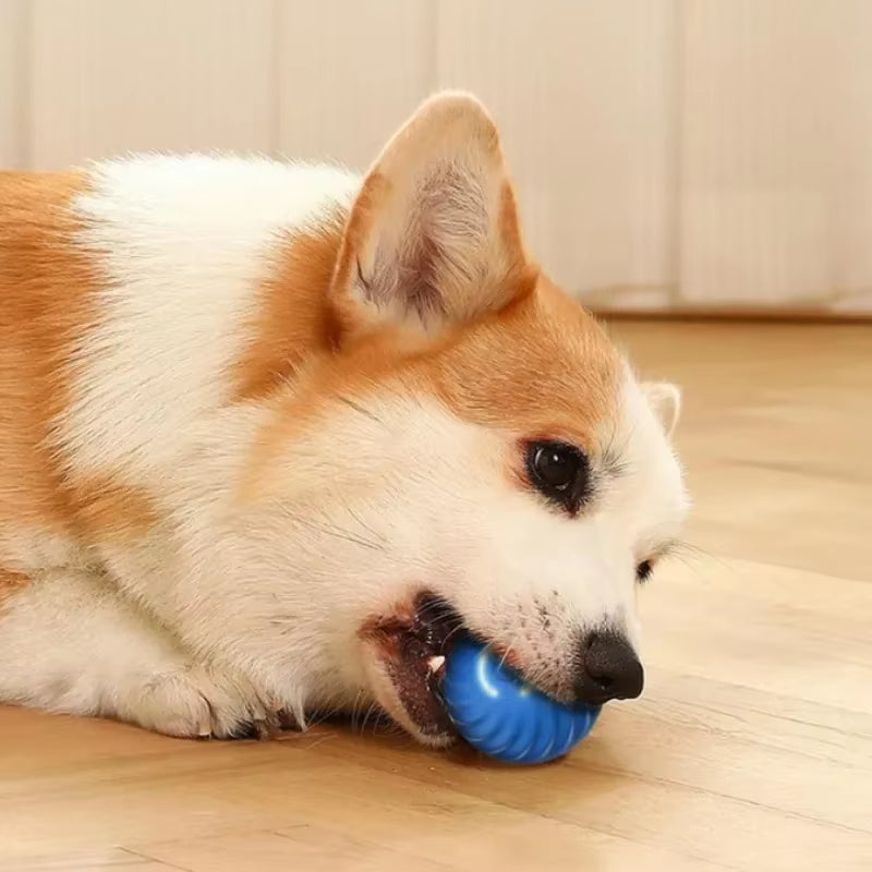 -Pet Toy Ball Automatic Moving Dog Toy Ball Smart USB Jumping Rotating Interactive Dog Chew Toy Ball for Puppy Ball Toy
