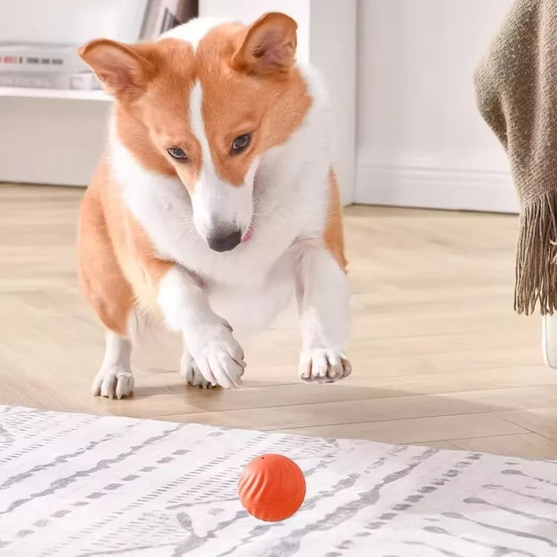 -Pet Toy Ball Automatic Moving Dog Toy Ball Smart USB Jumping Rotating Interactive Dog Chew Toy Ball for Puppy Ball Toy