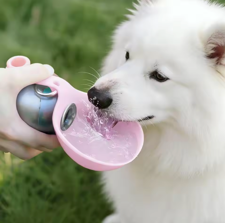 Spherical Pet Water Bottle
