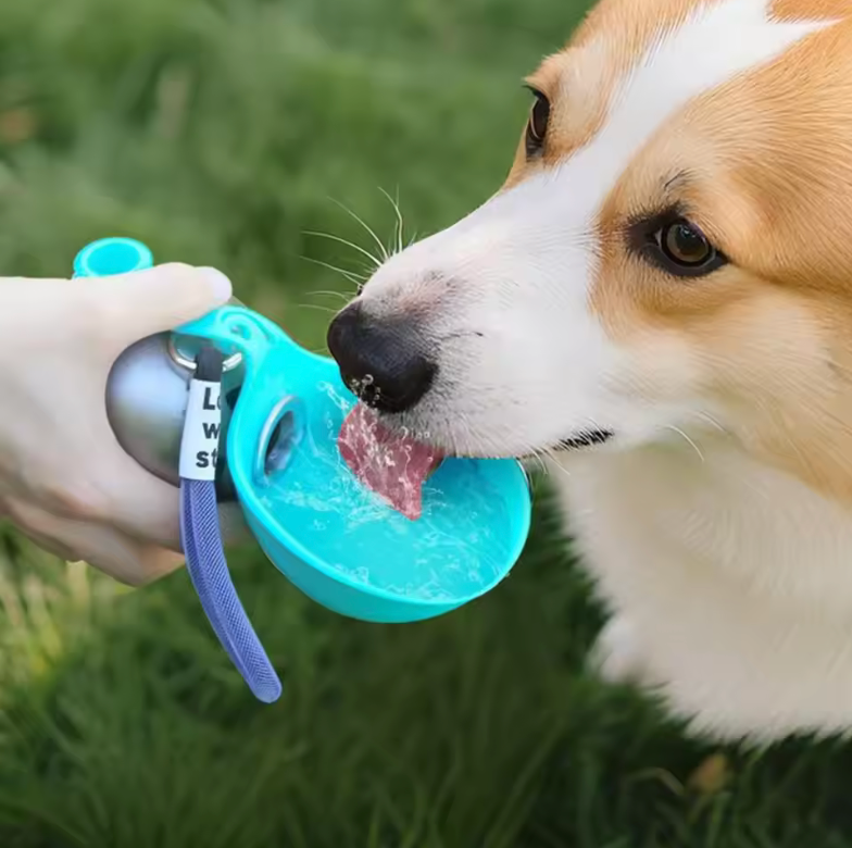 Spherical Pet Water Bottle